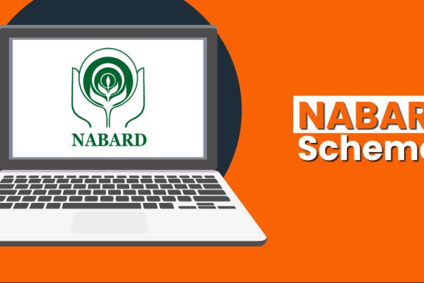 how many types of loan that are available in nabard scheme