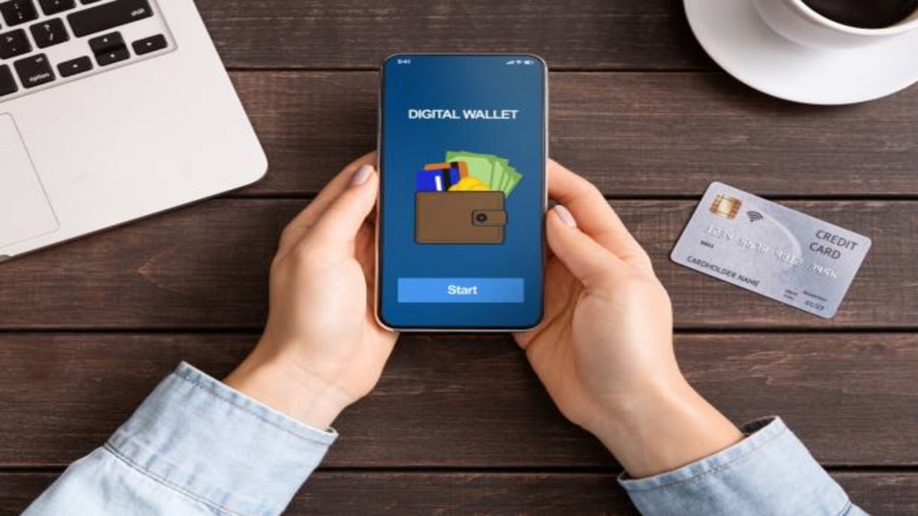 how many types of digital wallets in india are having the permission from rbi